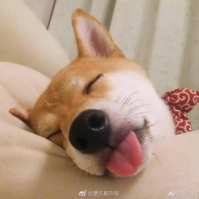 《男仆》by溫火免費閱讀