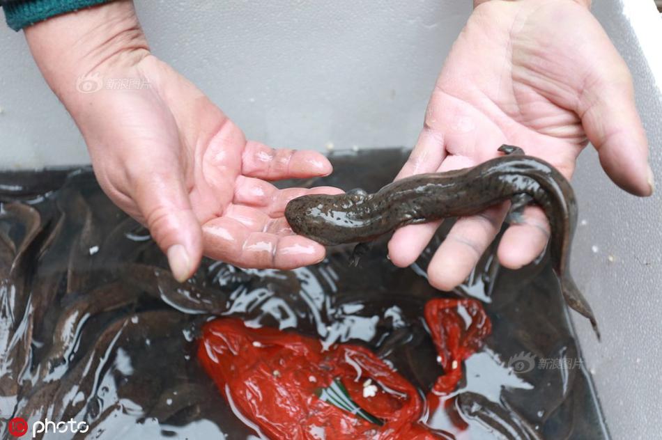 大米小麥by刺紅免費閱讀