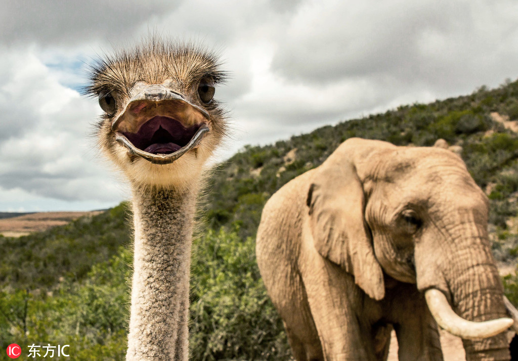 不可以!(限)筆趣閣最新章節(jié)