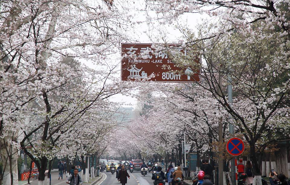 《向風(fēng)而行》免費(fèi)觀看,2023在線觀看