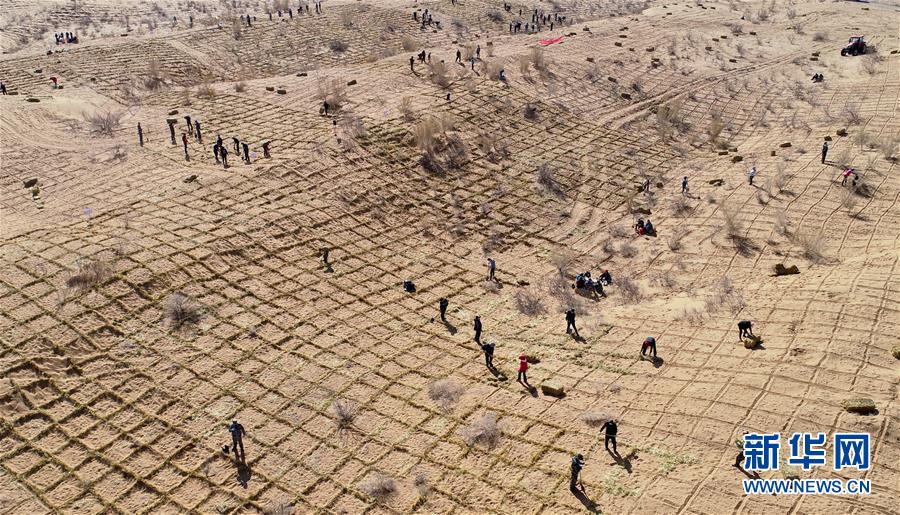 詞不達意by潭觀TXT百度云