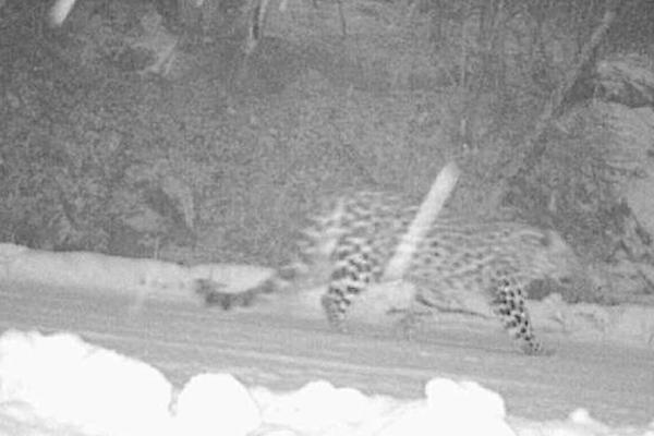 玉朝篷(古言1v1)許朝番外