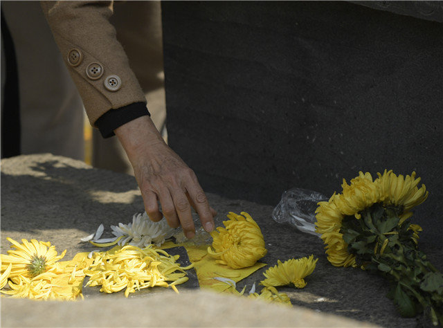 被雨林野獸圈卷的日子by白首在此百度云