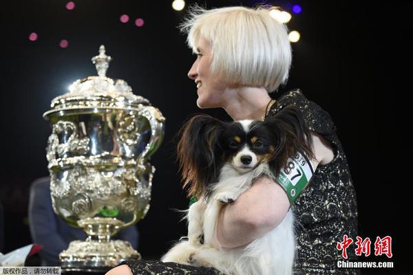 大漠蒼狼txt筆趣閣