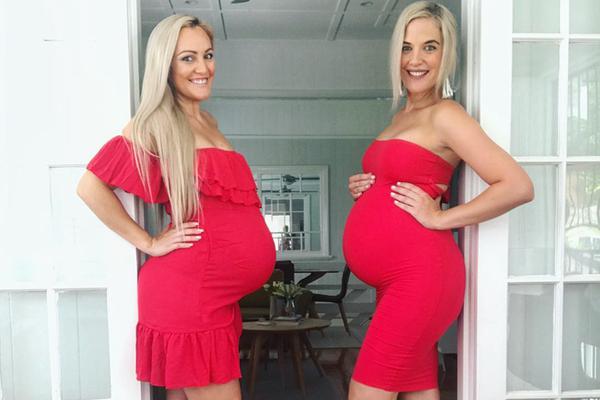 應許之日百度云TXT下載