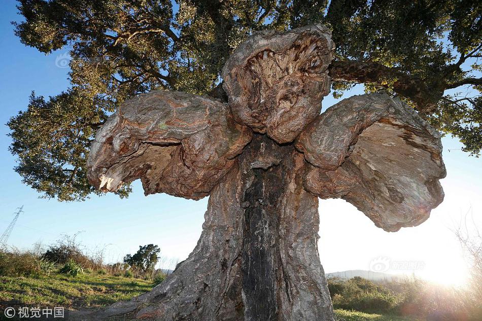 《神降(全息)》by壺魚辣椒