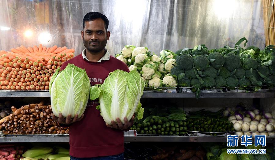 《斬神2:神墟現(xiàn)世》免費(fèi)觀看全集