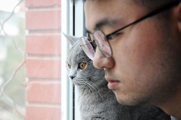 《驕陽(yáng)》by愛(ài)看天下載