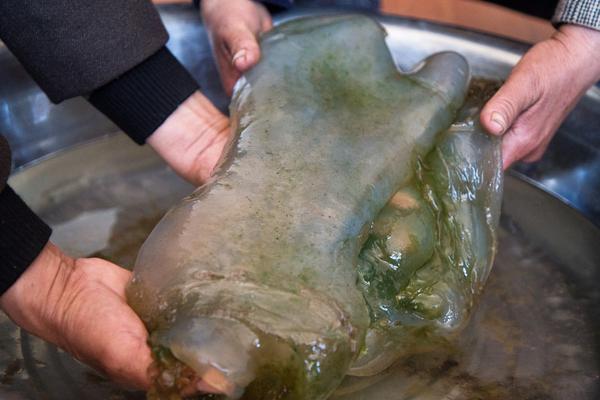 在路上(旅游) 作者黃心火龍果