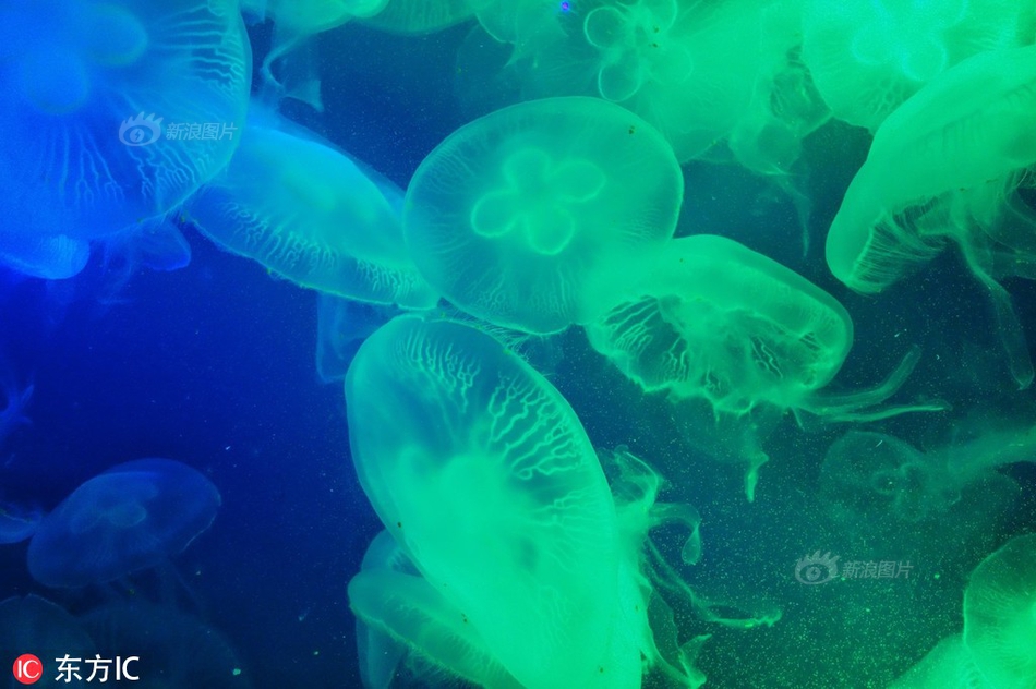 玉闕藏嬌永寧筆趣閣