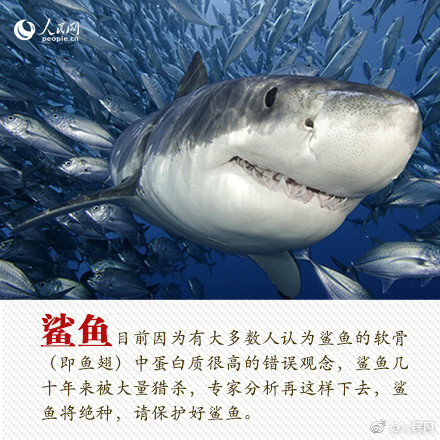 怎么都愛不夠1v1念念