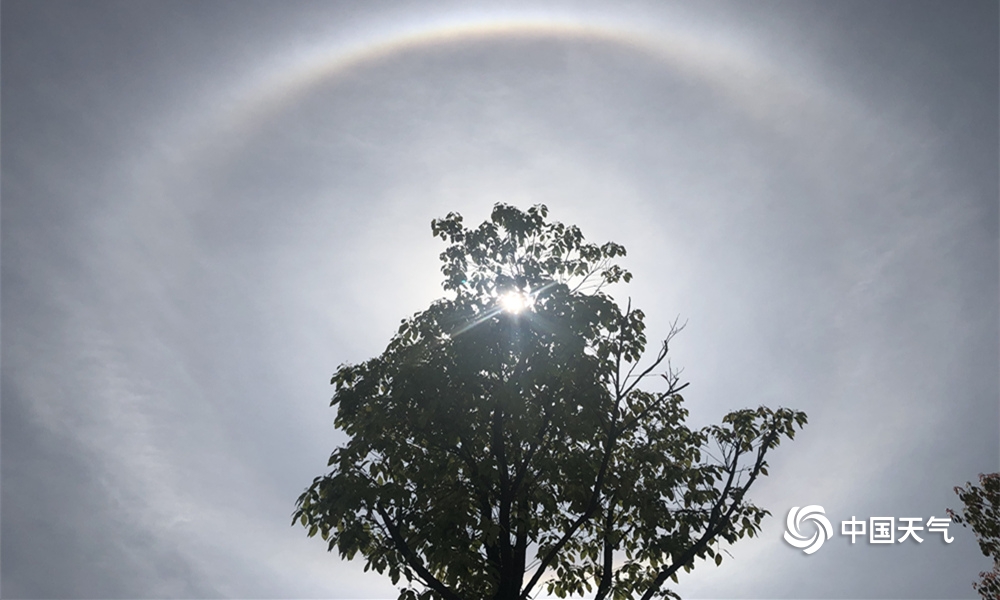 變小被扔到木馬上被團寵的小說