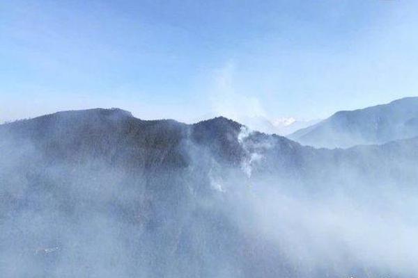 穿成abo地球人by黎黎