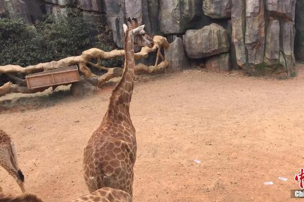 《龍族》1-5在線閱讀