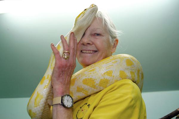 抱抱by松小鼠全文免費閱讀