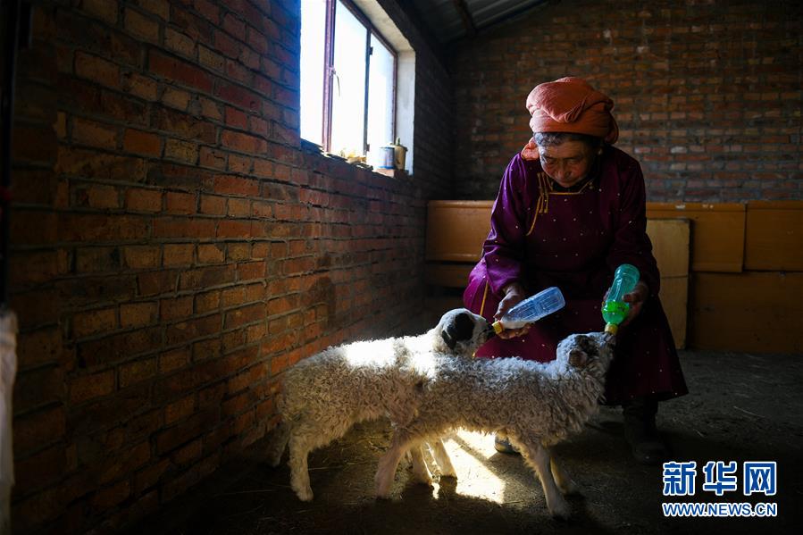 HR版女版古墓麗影在線看