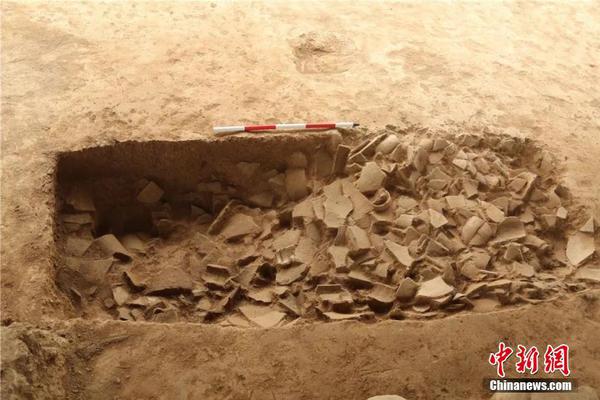 清冷美人by菜花小說