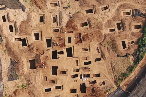 T大校花沉浮錄第二部叫什么