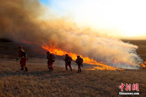 懲罰軍服全集TXT下載