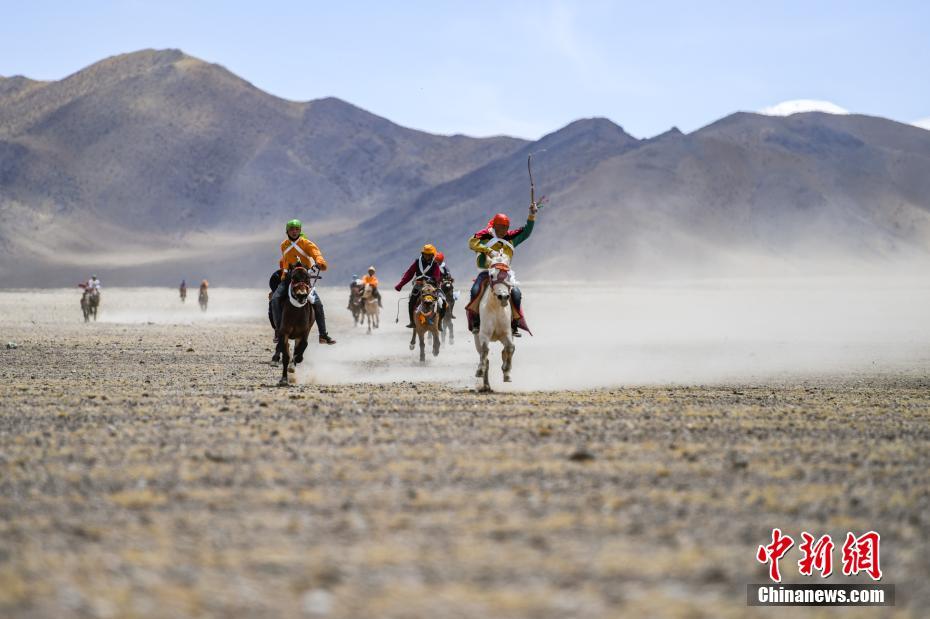 重生之都市仙尊洛無極