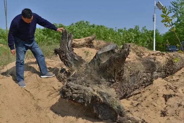 被迫登基后我爆紅星際 by墨染霜華晉江