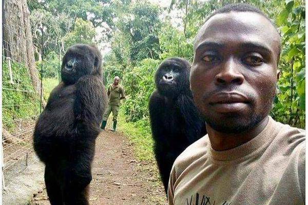 《法老的寵妃》txt