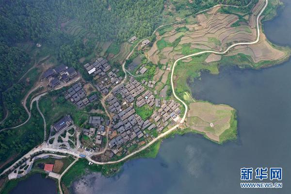 惹上大佬1v3小說