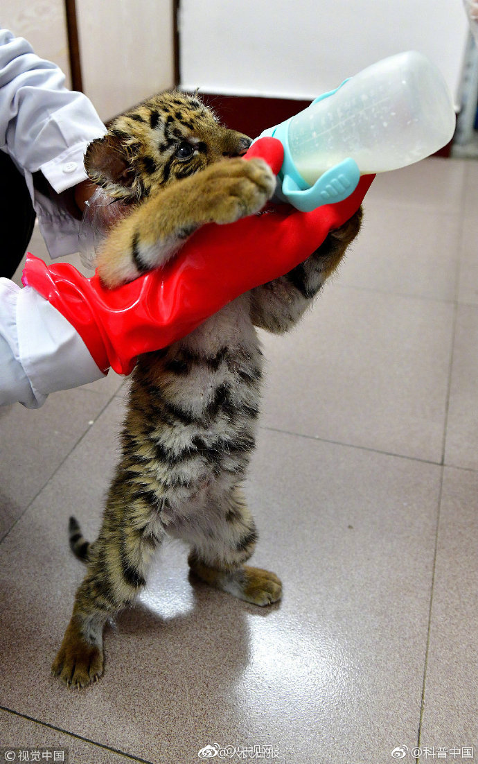 錯位關系by東哥txt網盤