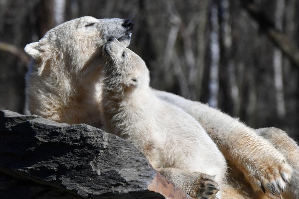 穿越到男人無(wú)欲世界(最新章節(jié))免費(fèi)閱