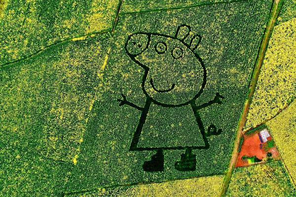 《庶妹》by:青燈