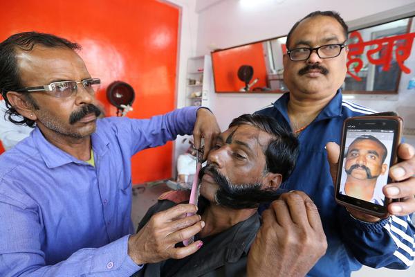 針鋒對決txt百度云正文加番外