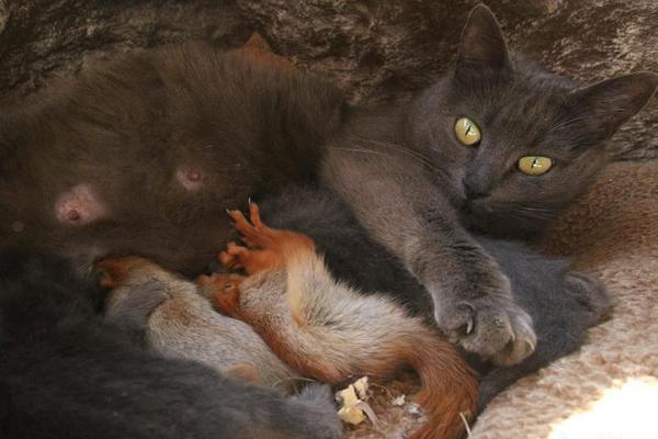 《破云》by淮上