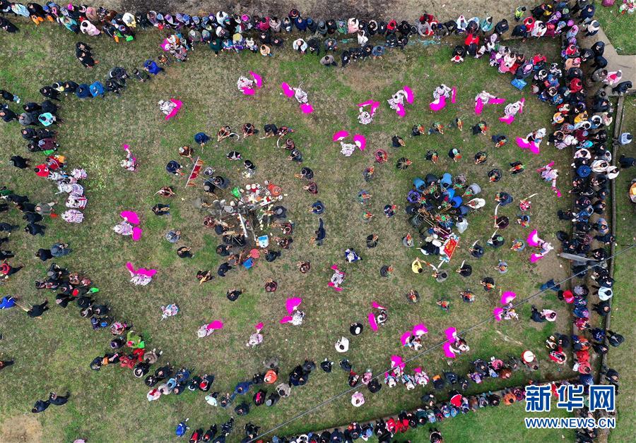 《唐磚》筆趣閣完整版閱讀下載