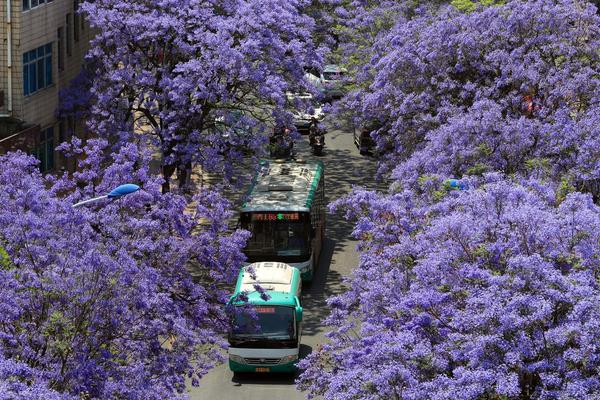 第一序列筆趣閣下載