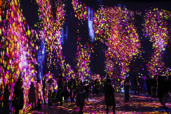 采蜜by賤骨頭筆趣閣講了什么