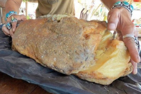 追夏阿司匹林全文TXT百度云