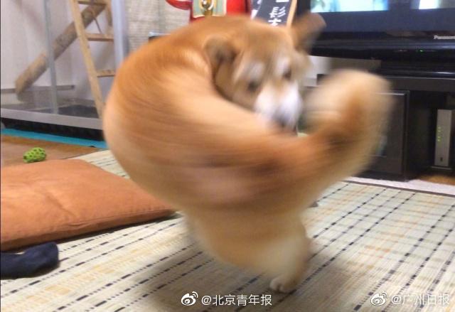 在抹布文里當(dāng)漂亮炮灰[穿書]