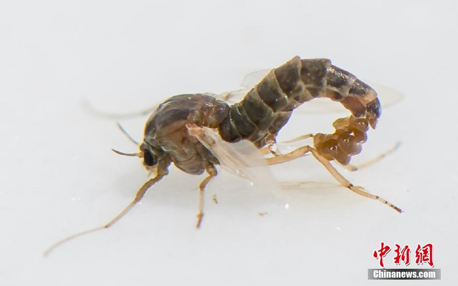 穿越之科技王朝筆趣閣免費閱讀