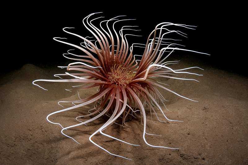 重生1998談小天免費閱讀筆趣閣