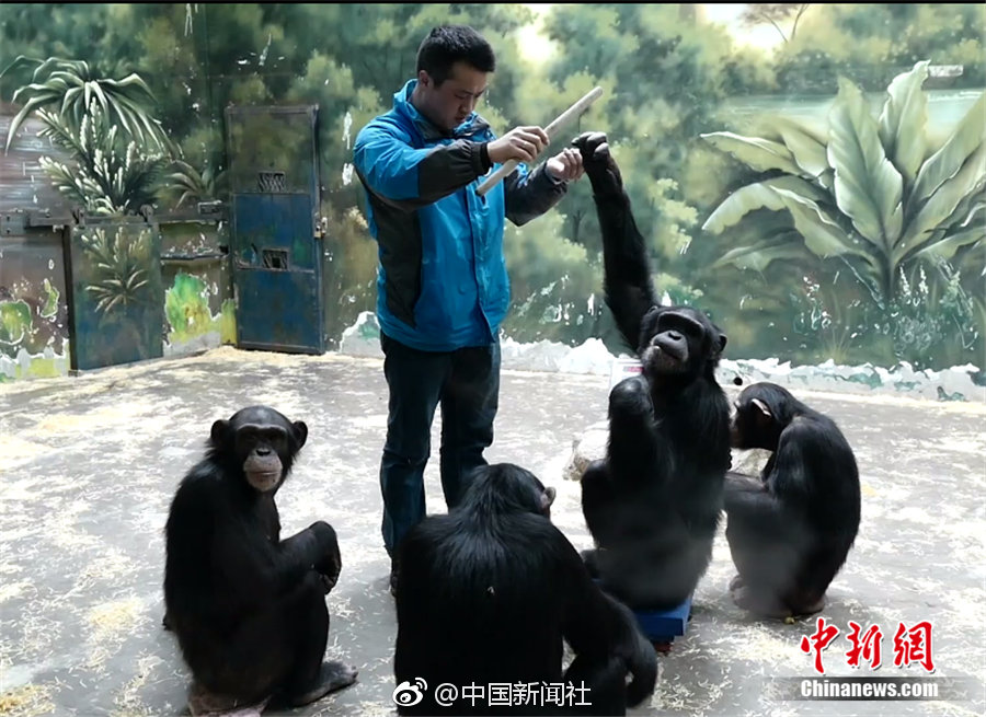 《噓》作者:魏承澤txt