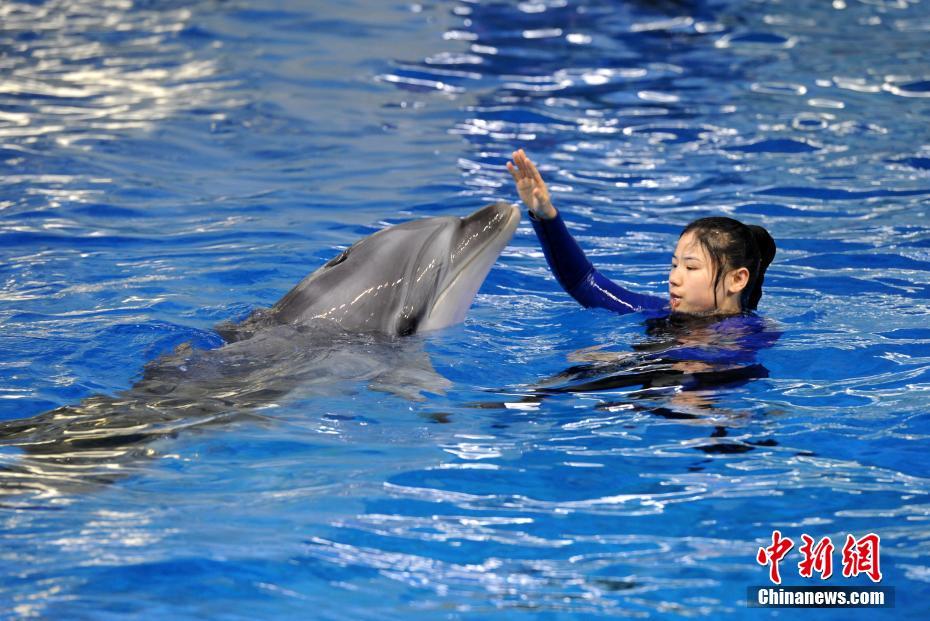 hp回到過去能干什么