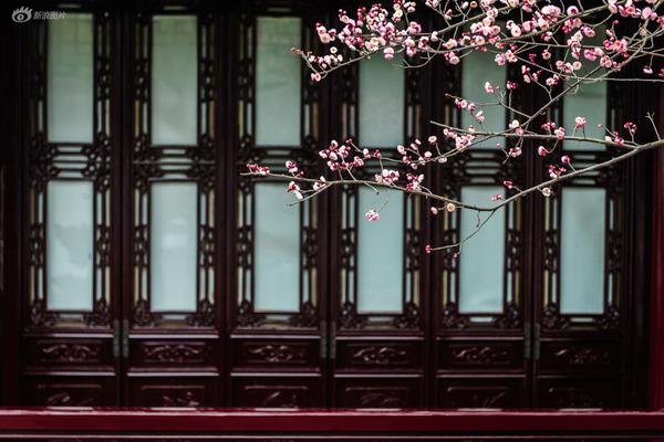 不安于室卡比丘筆趣閣番外