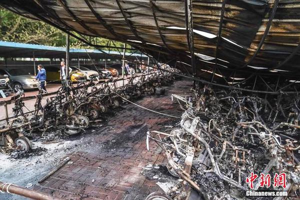 《忠犬》by雪莉小說TXT百度網(wǎng)盤