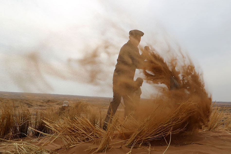 葉凡唐若雪小說最新