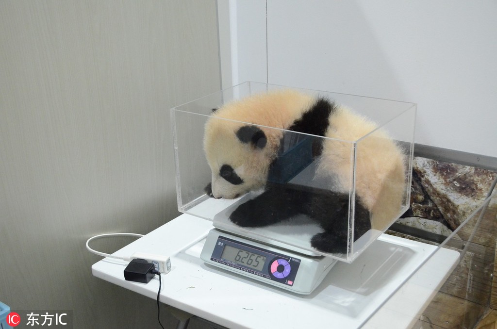 云泥by青燈小說作品