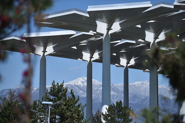 異鄉絕世小白TXT下載