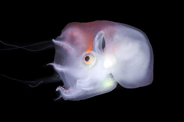 被男閨蜜奪走了by夢(mèng)里長(zhǎng)