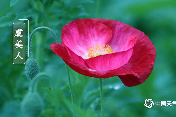 《野骨》by梨梨全文閱讀