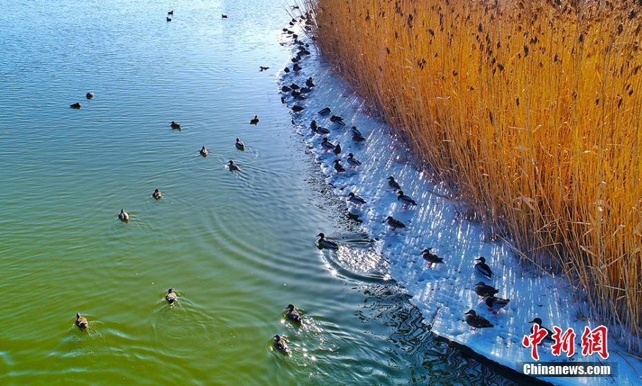 《二婚》by失眠孤獨(dú)癥劇透免費(fèi)閱讀