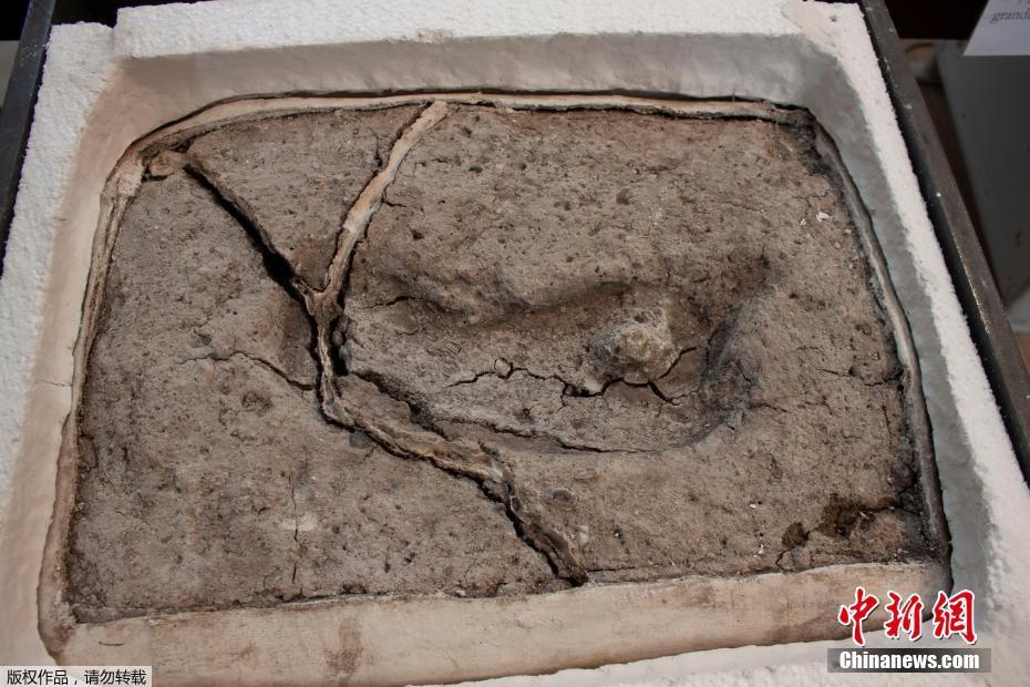 (兩對cp,1v1)蘇鳶韓知禮結局